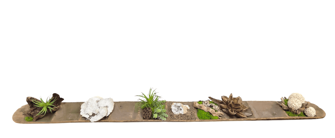 Antique Oblong Spice Tray with Geode, Star Pod, Natural Fiber Spheres, Driftwood and Succulents 9"H X 78"W X 10"D - LDF Silk