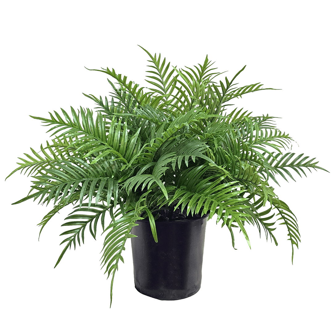 Areaca Palm in Grow Pot 32"H - LDF Silk