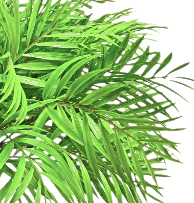 Areca Palm Plant in Growers Pot 27"H - LDF SilkArtificial Flora
