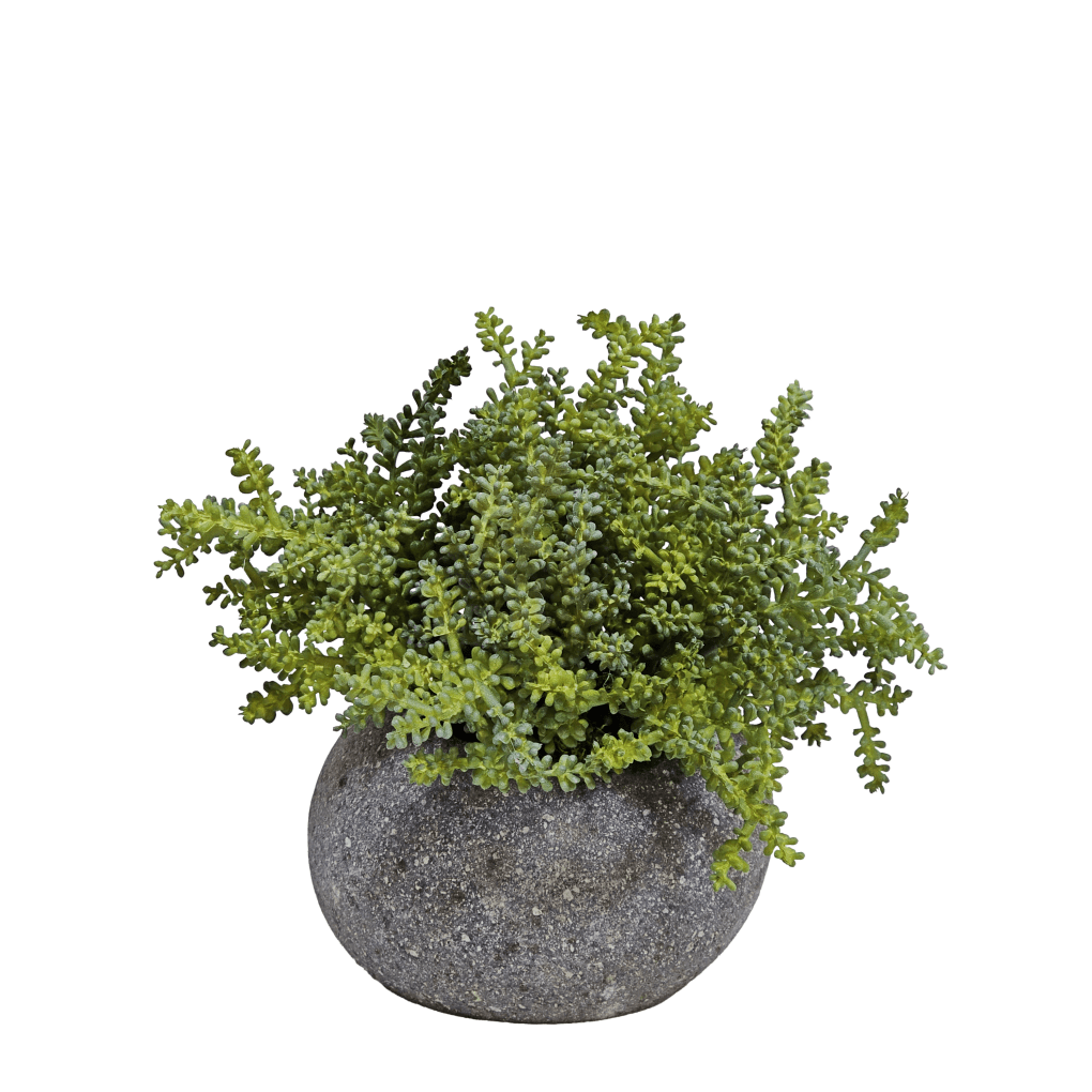 Baby Tear Succulent in Natural Stone 7.5"H - LDF Silk