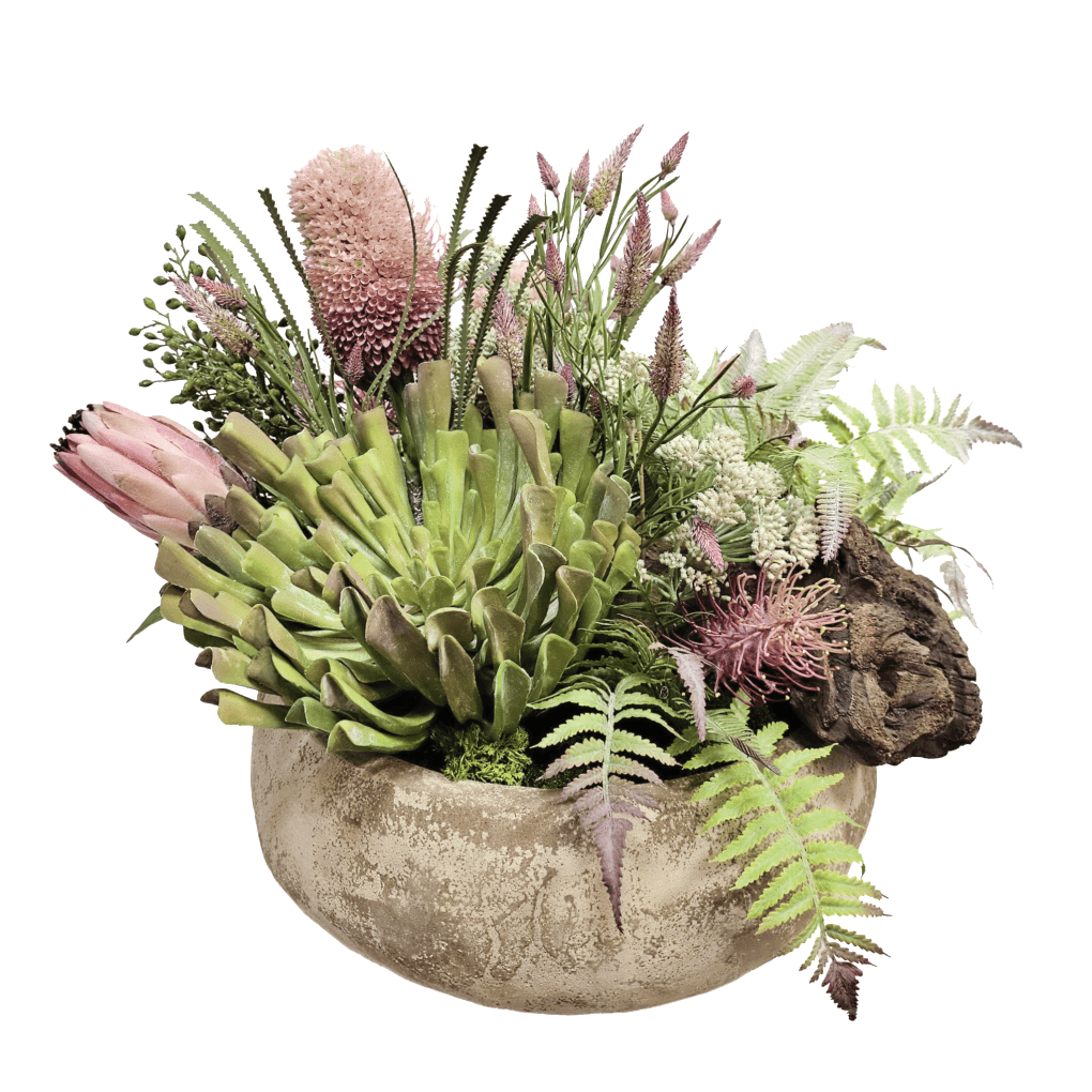 Banksia, Aeonium, Clover, Angelica and Protea with Ferns in Rustic Ceramic Bowl 20"H - LDF Silk