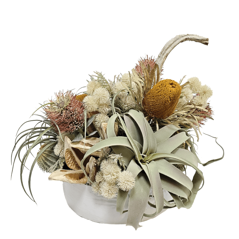 Banksia, Protea, Star Pod, Tillandsia and Cactus in Ceramic Bowl 16.5"H - LDF Silk