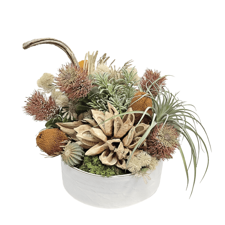 Banksia, Protea, Star Pod, Tillandsia and Cactus in Ceramic Bowl 16.5"H - LDF Silk