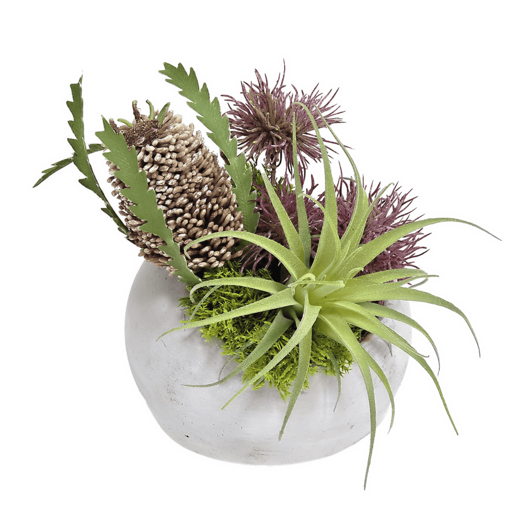 Banksia, Spikey Flowers and Tillandsia in Concrete 8"H - LDF Silk