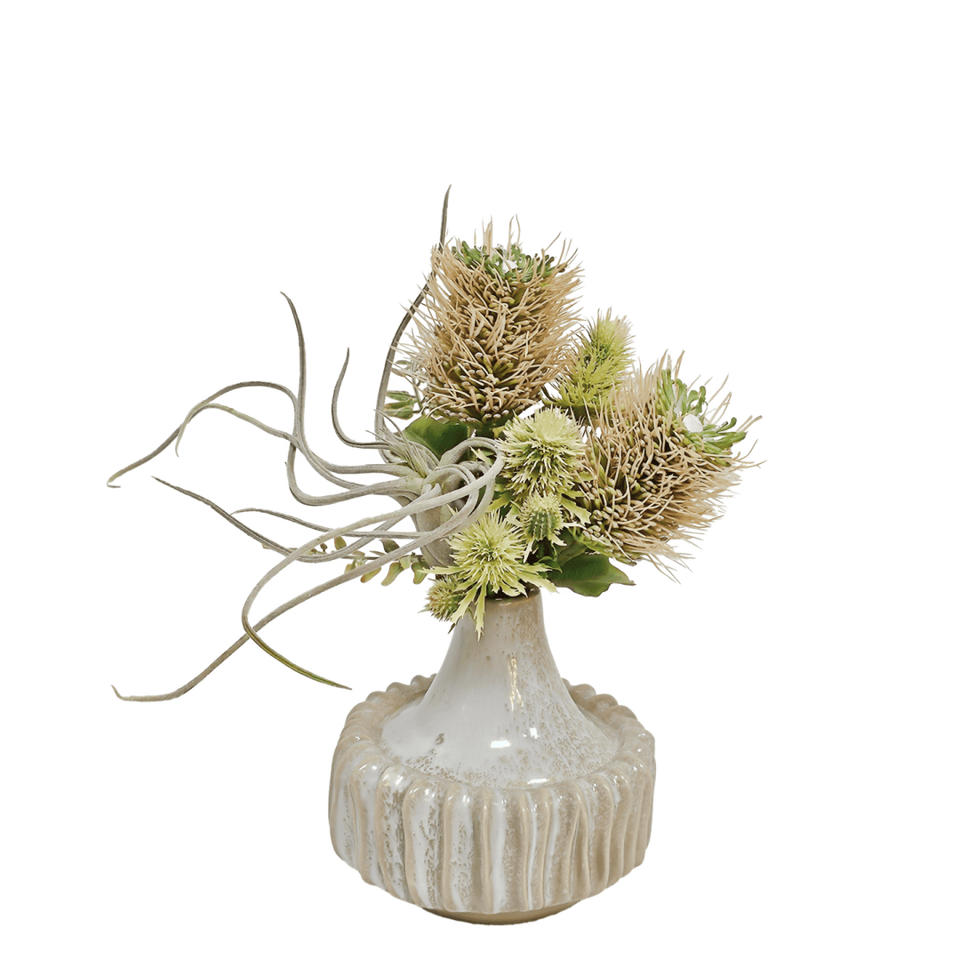Banksia, Thistle and Tillandsia in Ceramic Vase 13"H - LDF Silk