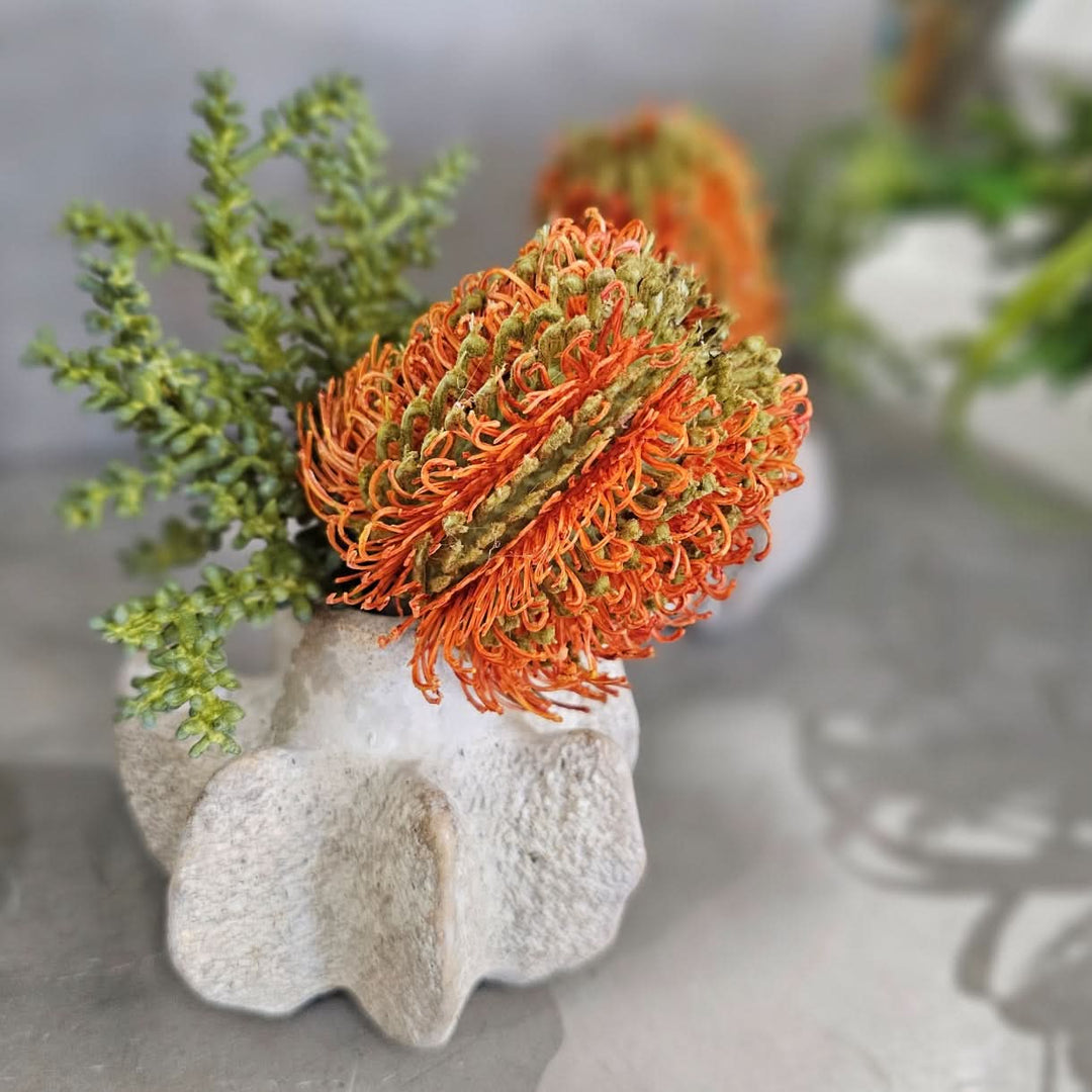 Banksia with Baby Tear in Textured Ceramic 6.5"H - LDF Silk