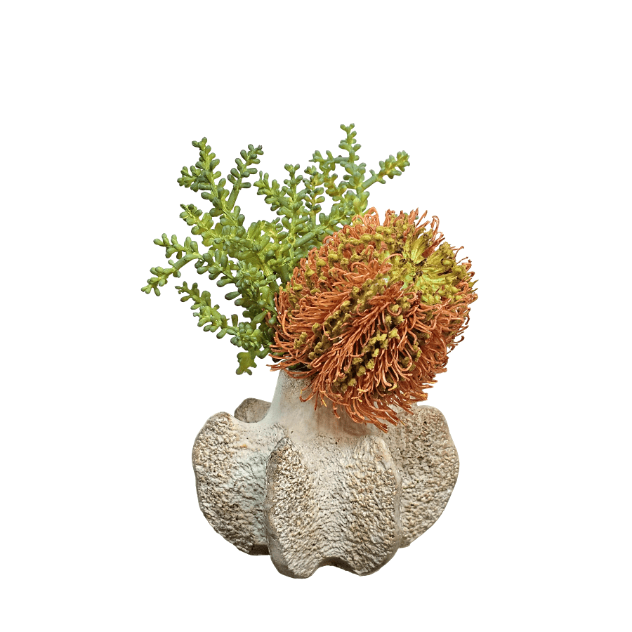 Banksia with Baby Tear in Textured Ceramic 6.5"H - LDF Silk