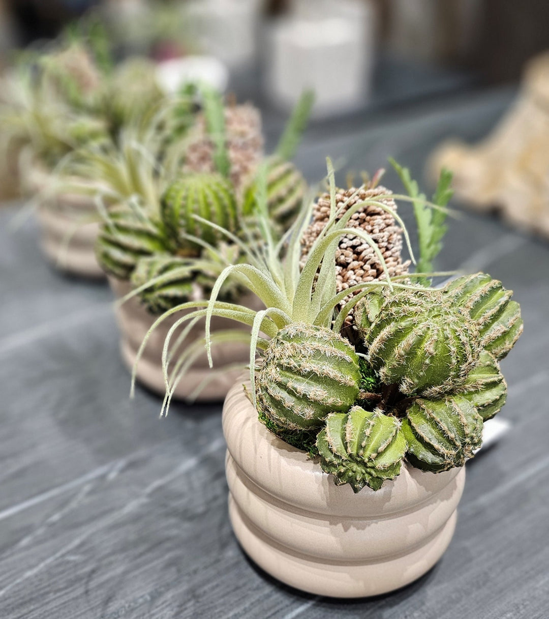 Barrel Cactus, Banksia and Tillandsia in Ceramic Container. FH: 7" - LDF Silk