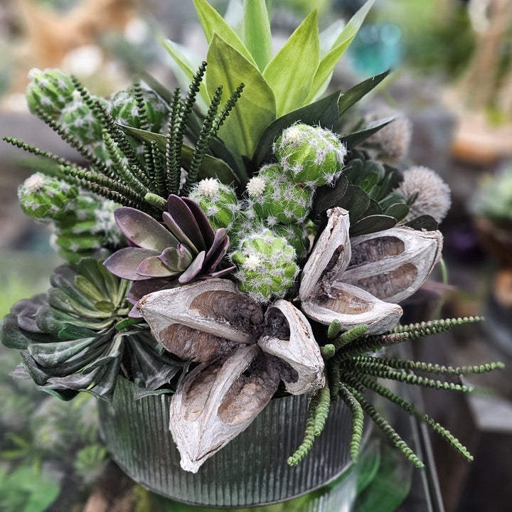 Barrel Cactus, Sora Pods, Tillandsia and Aeonium in Ribbed Metal Bowl 15"H - LDF Silk
