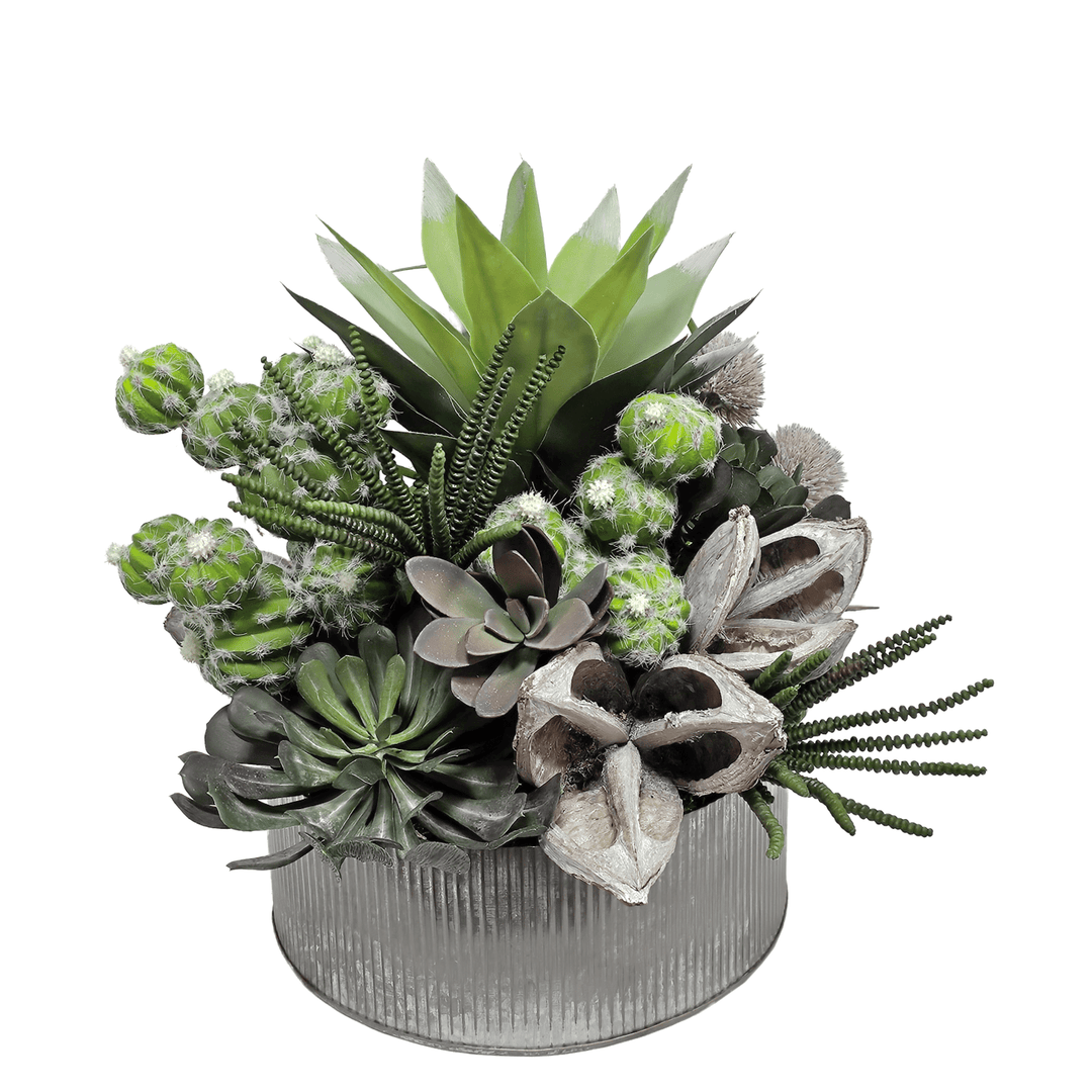 Barrel Cactus, Sora Pods, Tillandsia and Aeonium in Ribbed Metal Bowl 15"H - LDF Silk