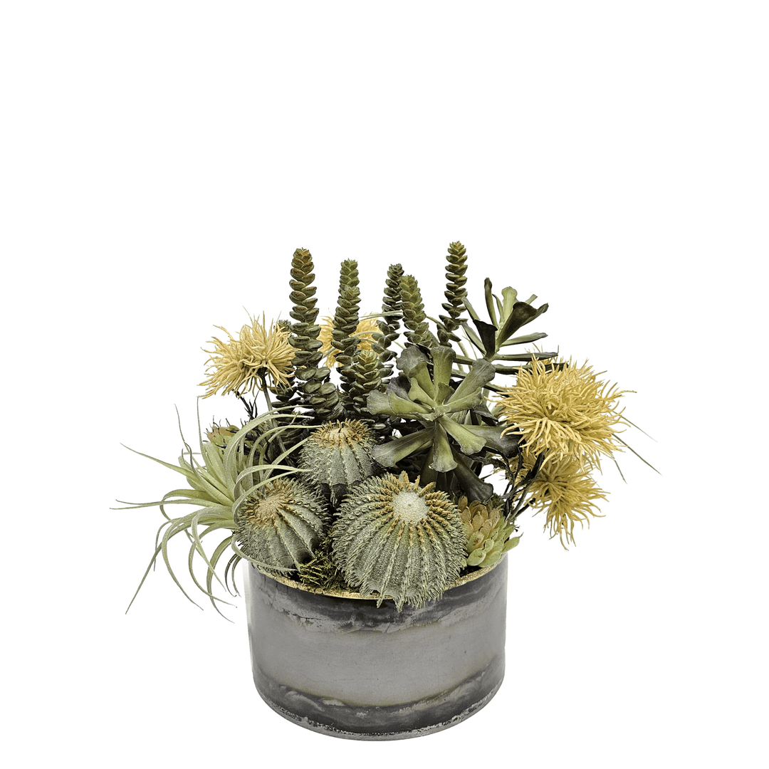 Barrel Cactus, Succulents and Spikey Flowers in Metal Bowl 13.5"H - LDF Silk