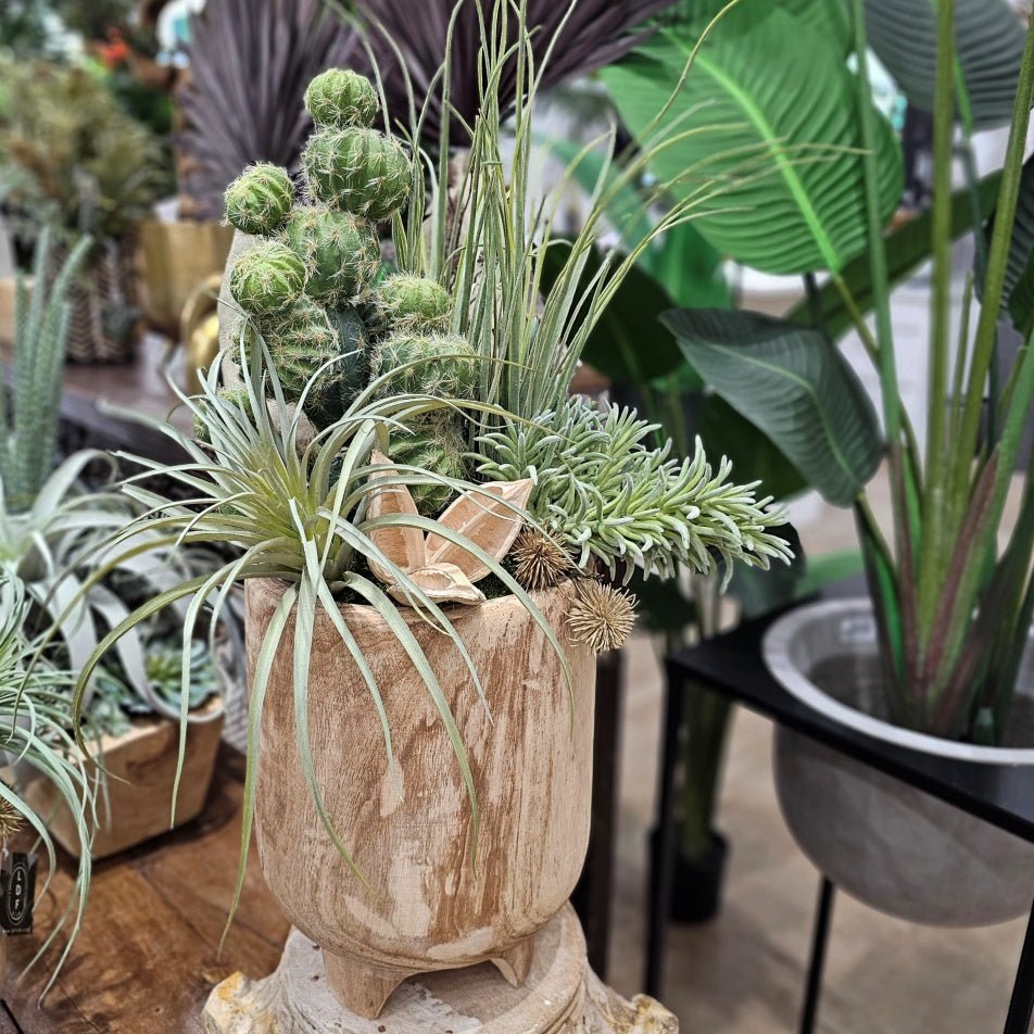 Barrel Cactus, Tillandsia and Sora Pods in Natural Wood 29"H - LDF Silk