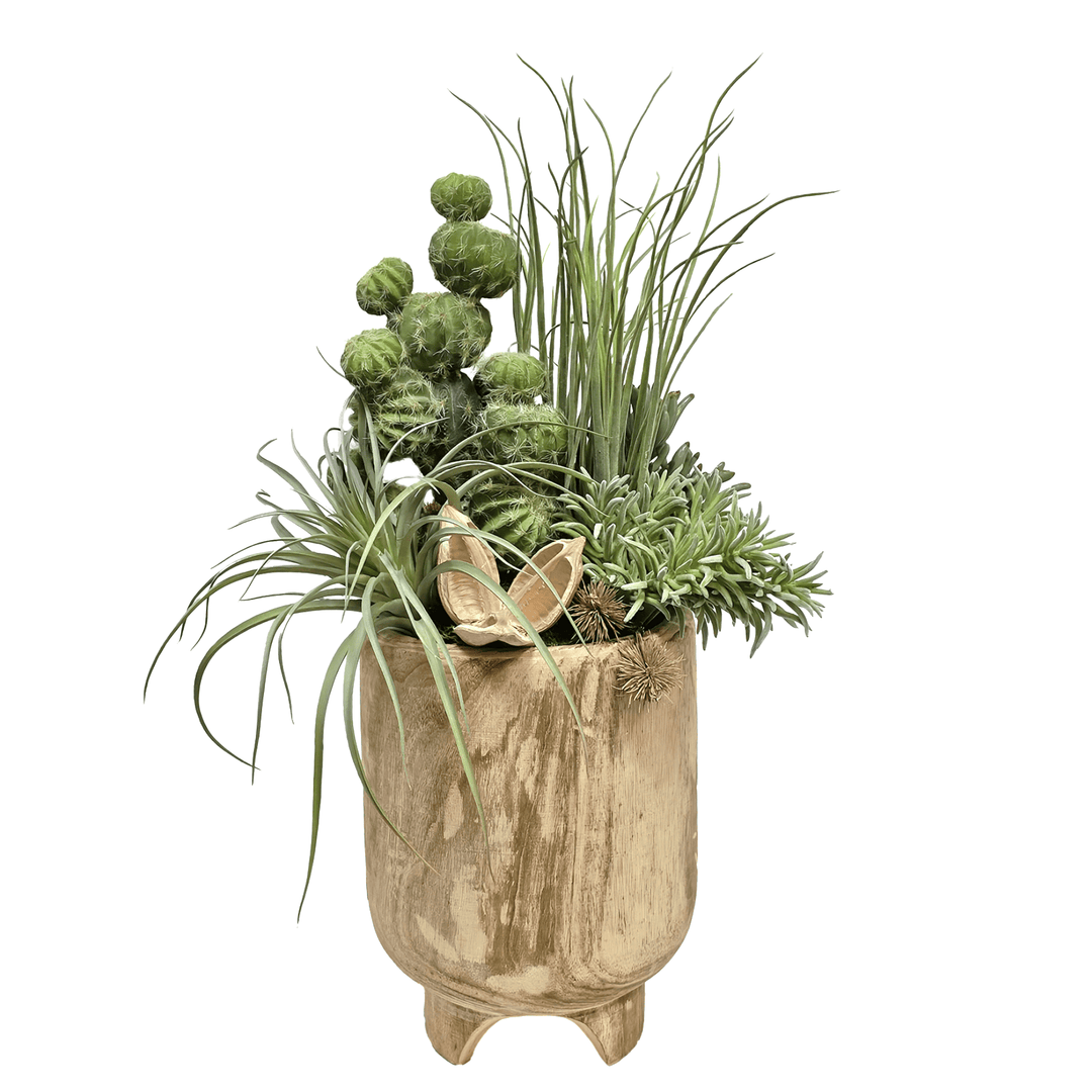 Barrel Cactus, Tillandsia and Sora Pods in Natural Wood 29"H - LDF Silk