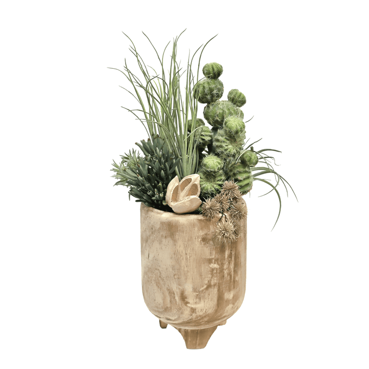 Barrel Cactus, Tillandsia and Sora Pods in Natural Wood 29"H - LDF Silk