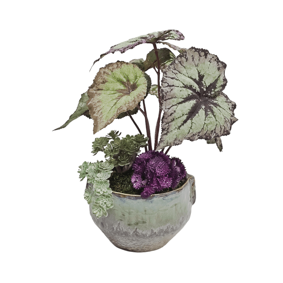 Begonia with Sedum in Ceramic 12"H - LDF Silk