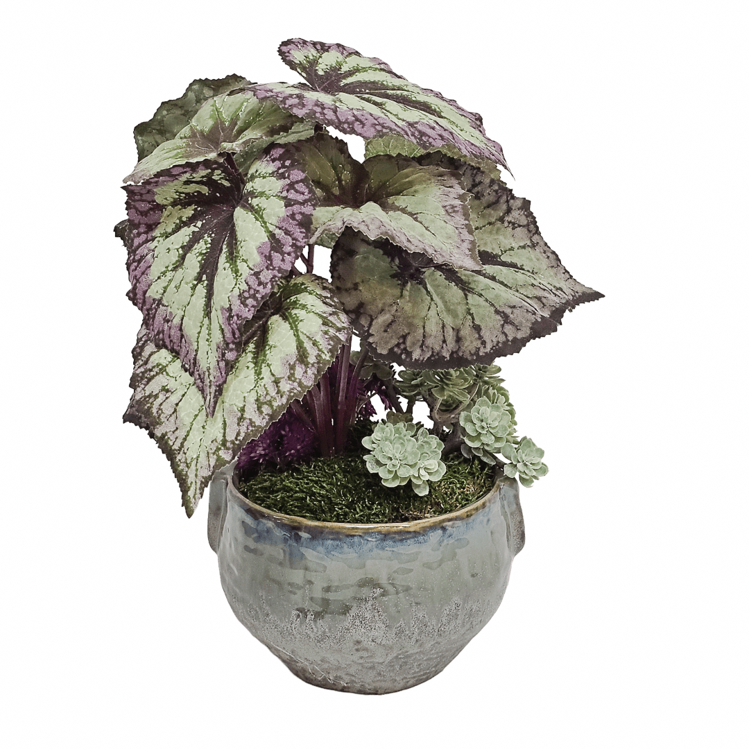 Begonia with Sedum in Ceramic 12"H - LDF Silk