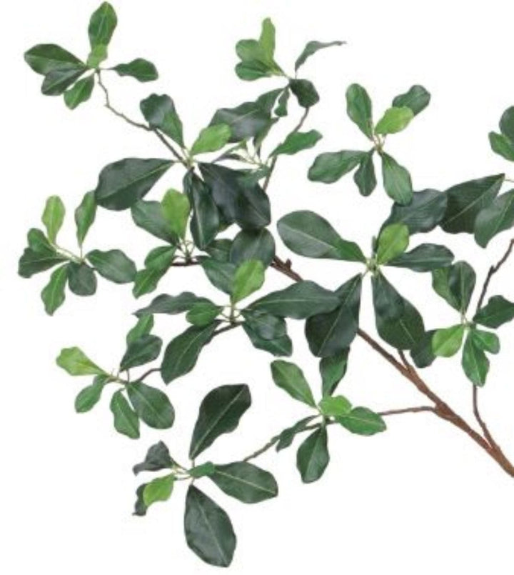 Black Olive Tree (no fruit) Multi Trunk Ladder Style in Grow Pot (shown 5.5'H - other sizes available) - LDF SilkArtificial Flora
