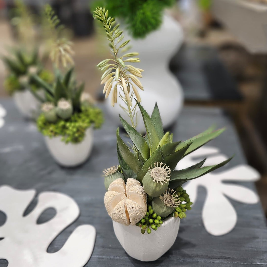 Blooming Agave with Various Pods and Sedum in Textured Pot. FH: 13"H - LDF SilkArtificial Flora
