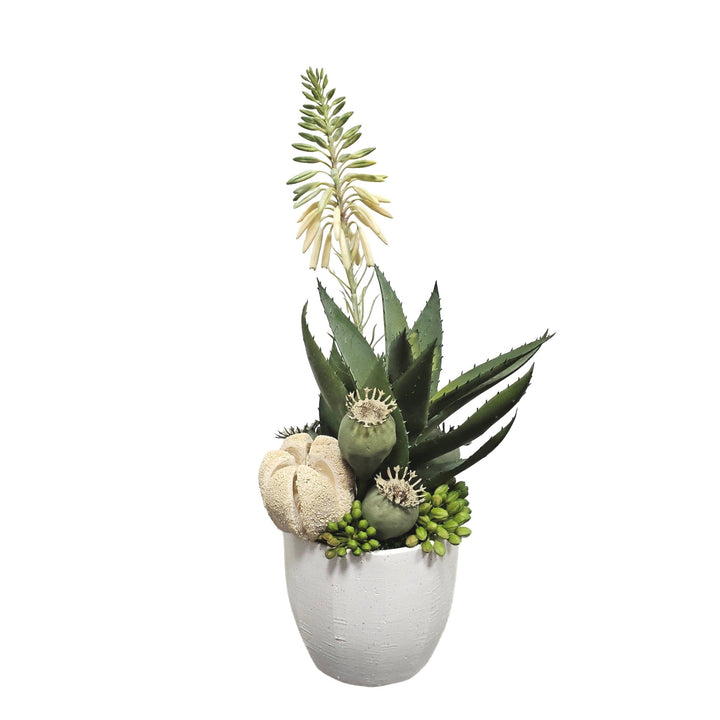 Blooming Agave with Various Pods and Sedum in Textured Pot. FH: 13"H - LDF SilkArtificial Flora