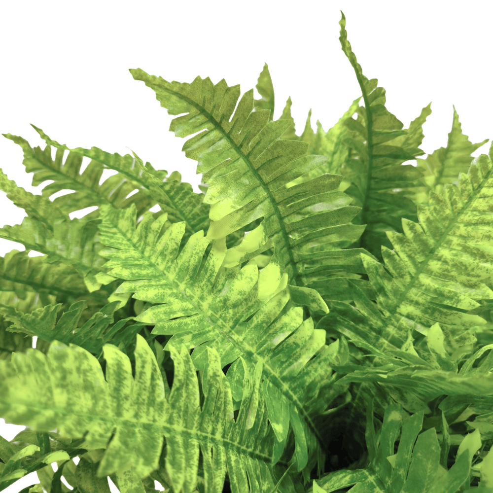 Boston Fern in Grow Pot. FH: 25" - LDF SilkArtificial Flora