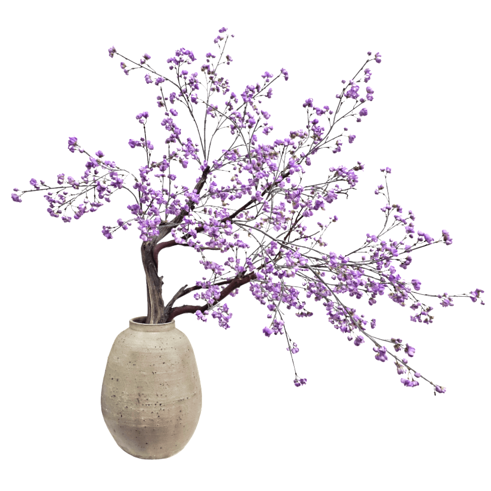 Bouvardia on Manzanita Branch in Textured Ceramic Jar 52"H X 48"W X 32"D - LDF Silk