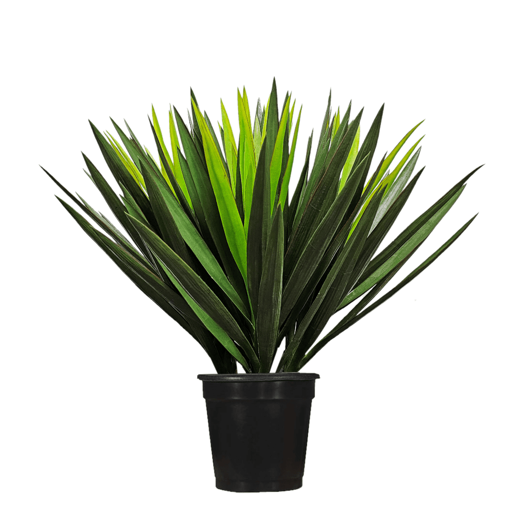 Brazil Yucca in Growers Pot 28" - LDF SilkArtificial Flora
