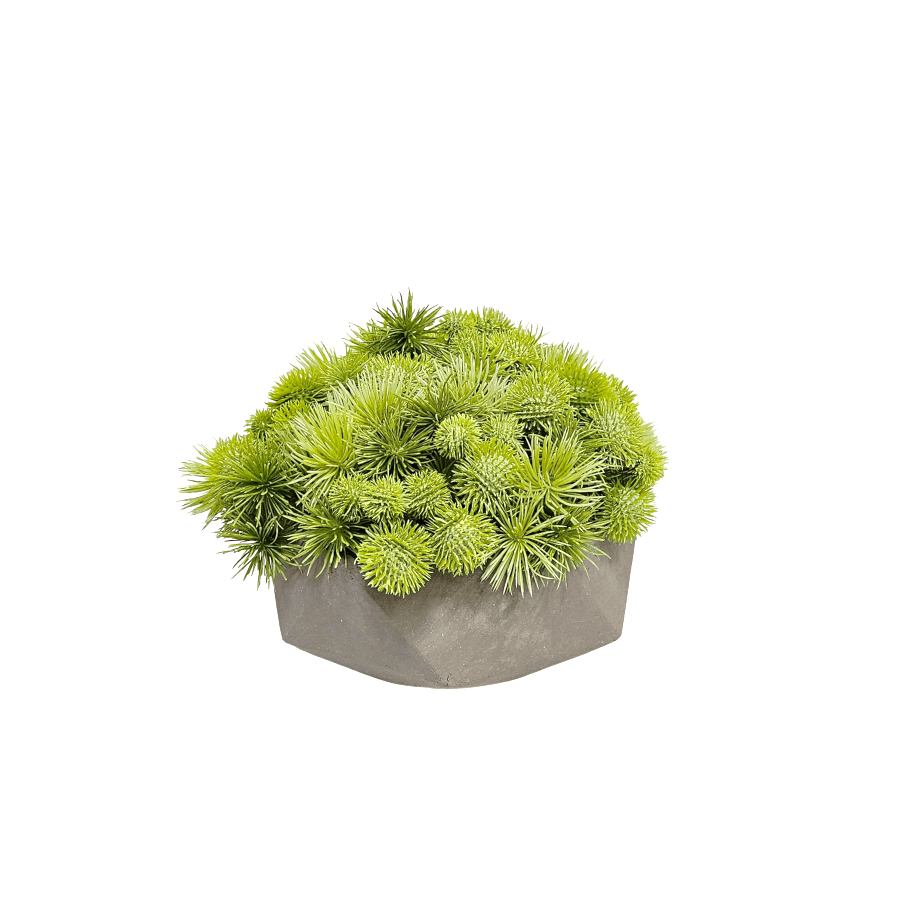 Bright Spikey Pods in Geometric Concrete 8"H X 11"DIA - LDF Silk
