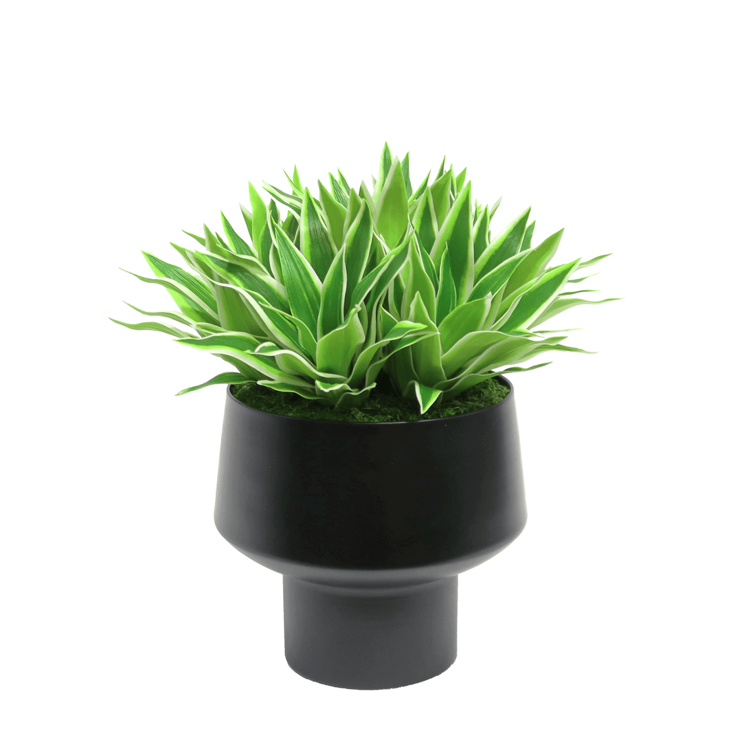 Bright Succulents in Metal Footed Container 12"H - LDF Silk
