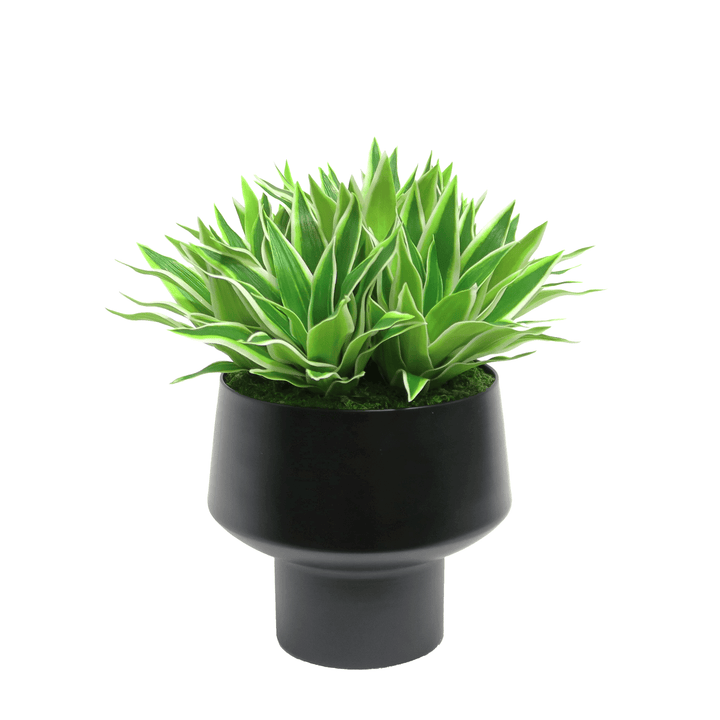 Bright Succulents in Metal Footed Container 12"H - LDF Silk