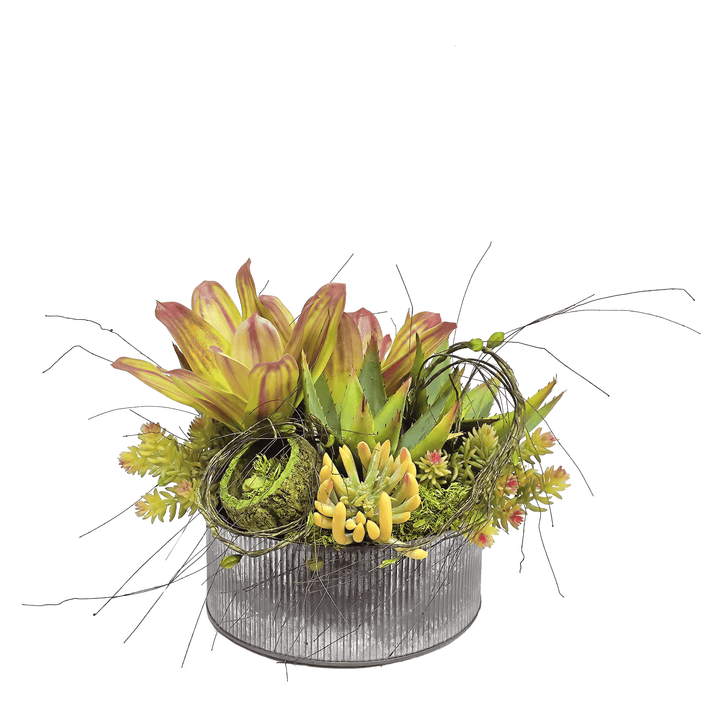 Bromeliads, Agave Sedum and Dried Coconut in Metal Bowl 12"H - LDF Silk