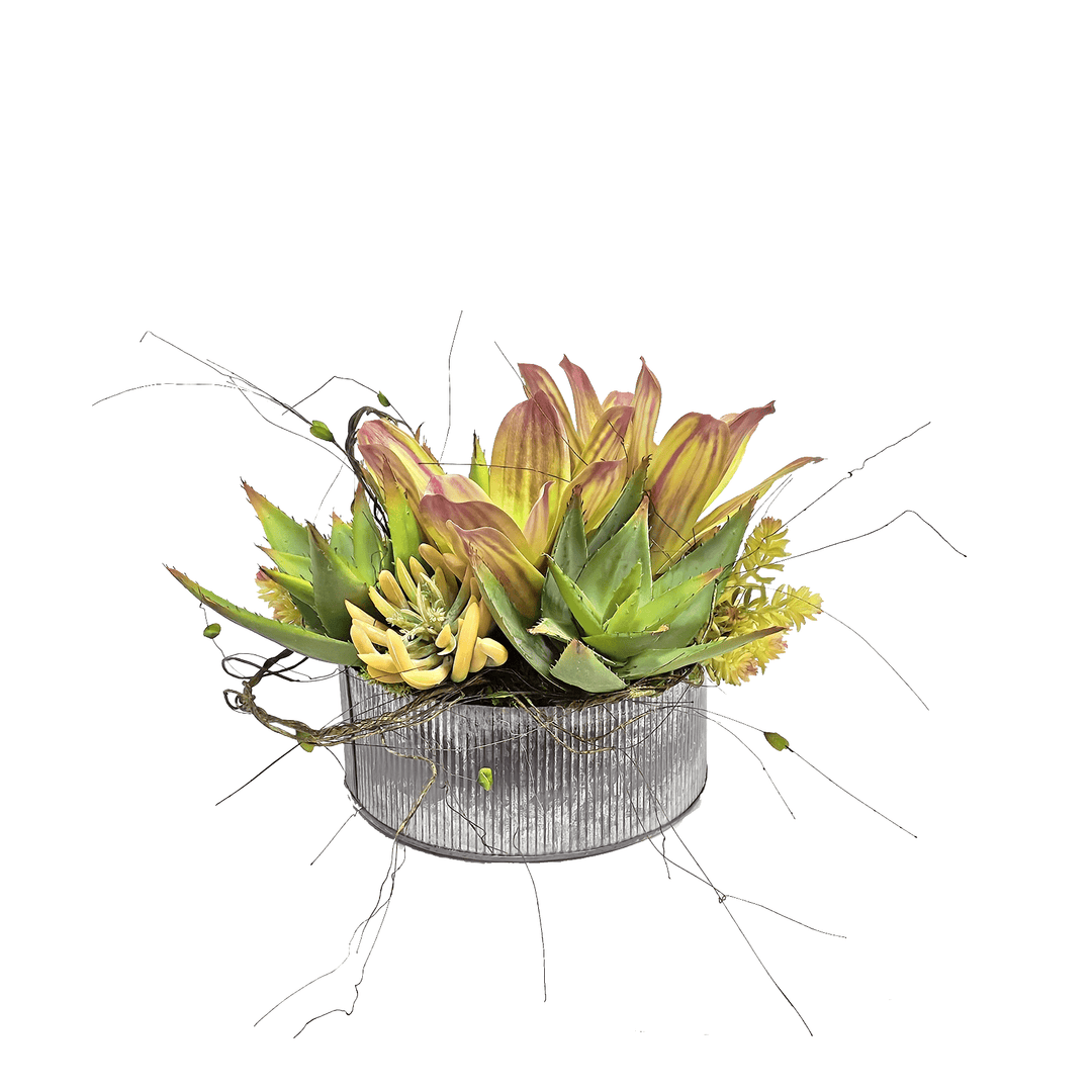 Bromeliads, Agave Sedum and Dried Coconut in Metal Bowl 12"H - LDF Silk