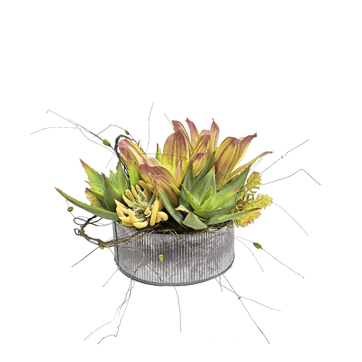 Bromeliads, Agave Sedum and Dried Coconut in Metal Bowl 12"H - LDF Silk