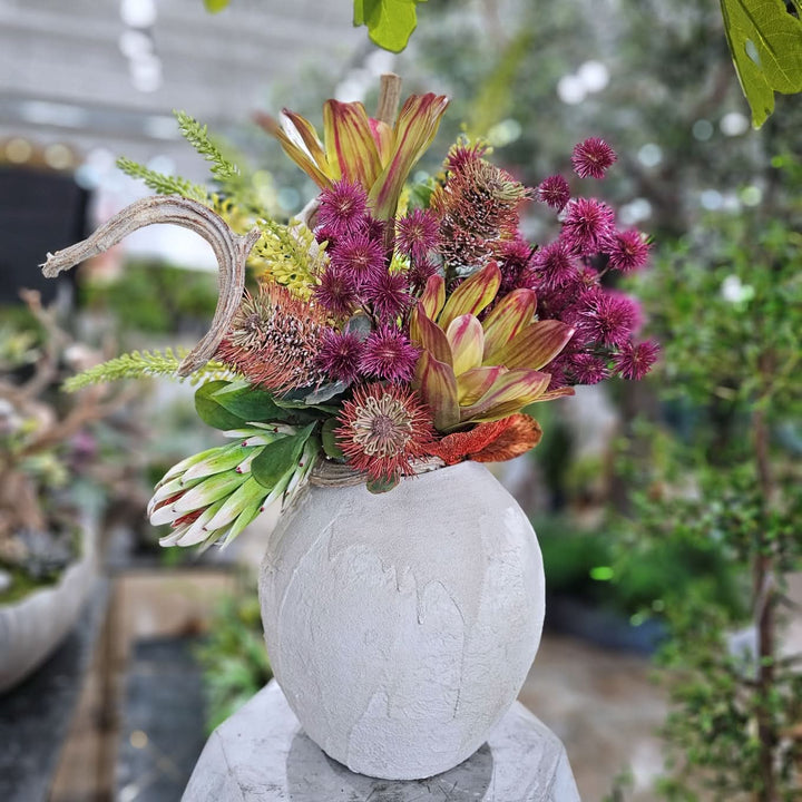 Bromeliads, Protea, Foxtail Lily, Vine and Mushrooms in Textured Ceramic 30"H - LDF Silk