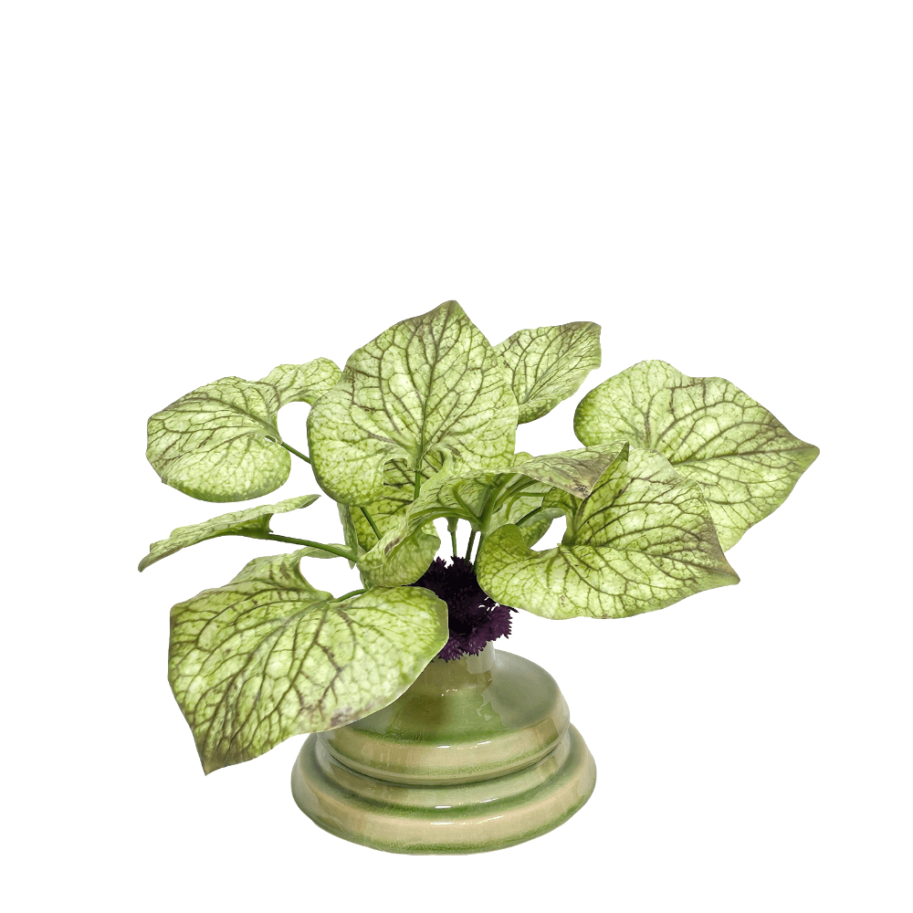 Brunnera Plant in Glazed Ceramic Vase 12"H X 12"W X 10"D - LDF Silk