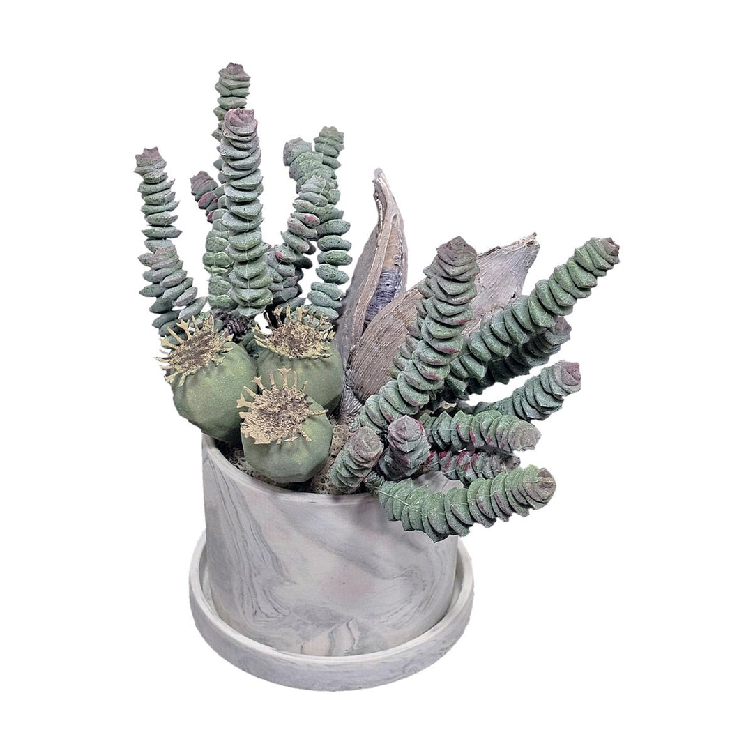 burroughs tail succulent Burros Tail Succulents with Various Pods in Ceramic Container. FH: 8"H – LDF Silk