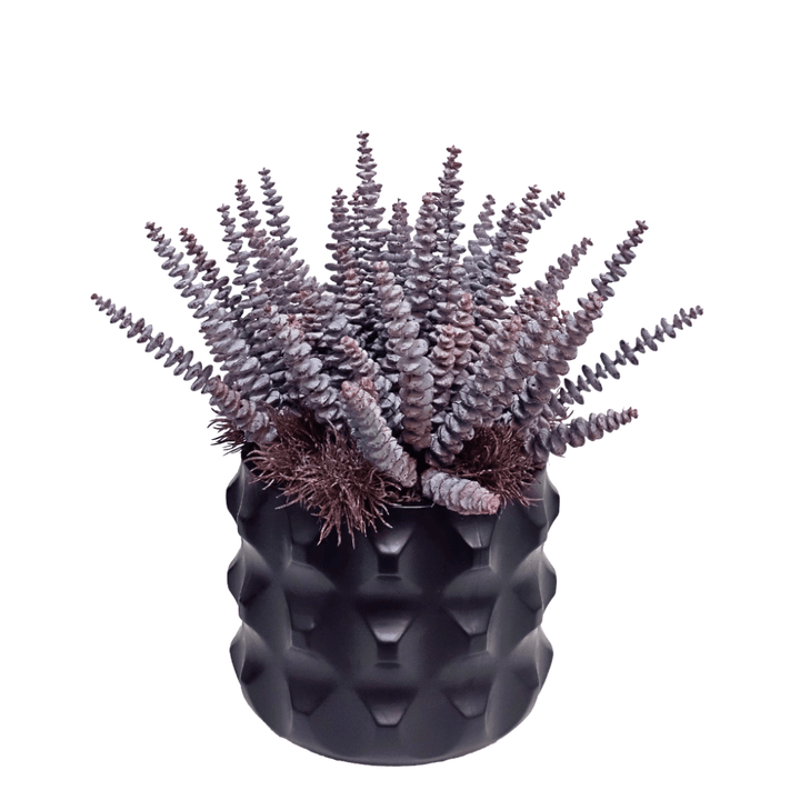Burro's Tail with Spikey Flowers in Textured Ceramic 16"H - LDF Silk
