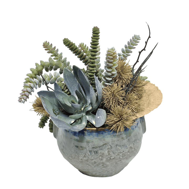 Burro's Tail with Succulent, Thistle and Sponge Mushroom in Glaze Clay Pinch Pot 9.5"H - LDF Silk