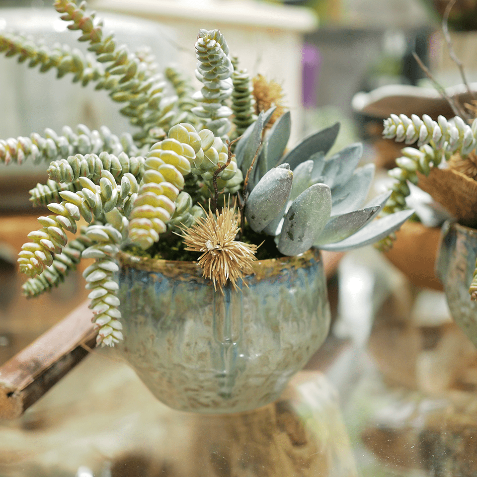 Burro's Tail with Succulent, Thistle and Sponge Mushroom in Glaze Clay Pinch Pot 9.5"H - LDF Silk