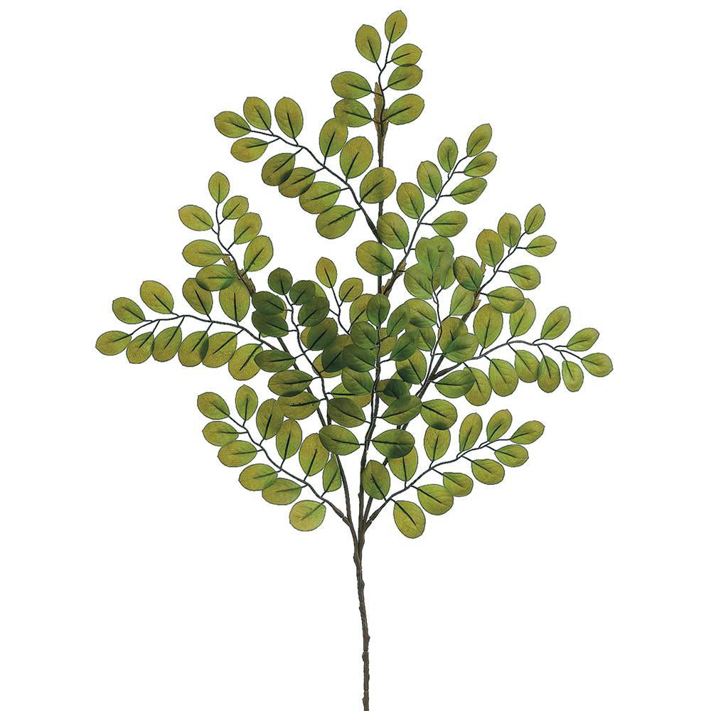 Button Fern Tree on Single Trunk - Various Sizes Available - LDF SilkArtificial Flora