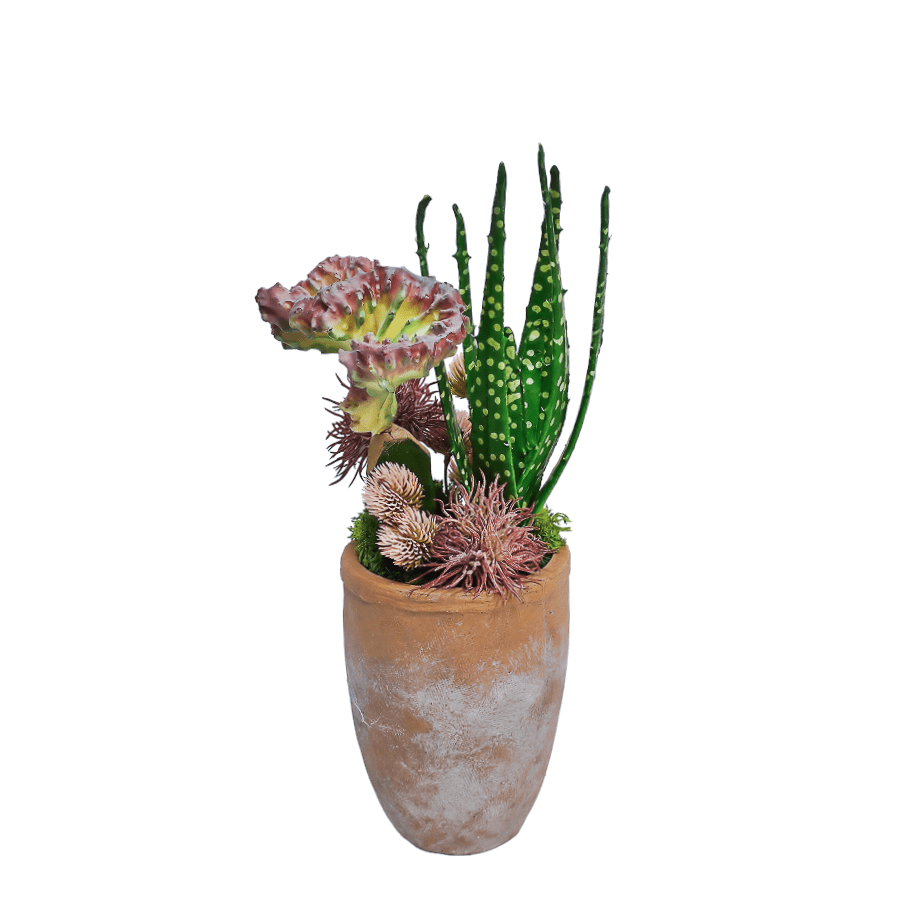 Cactus, Aloe, and Thistle Spray in Terracotta Container. 15"H - LDF Silk