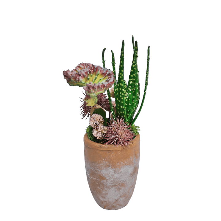 Cactus, Aloe, and Thistle Spray in Terracotta Container. 15"H - LDF Silk