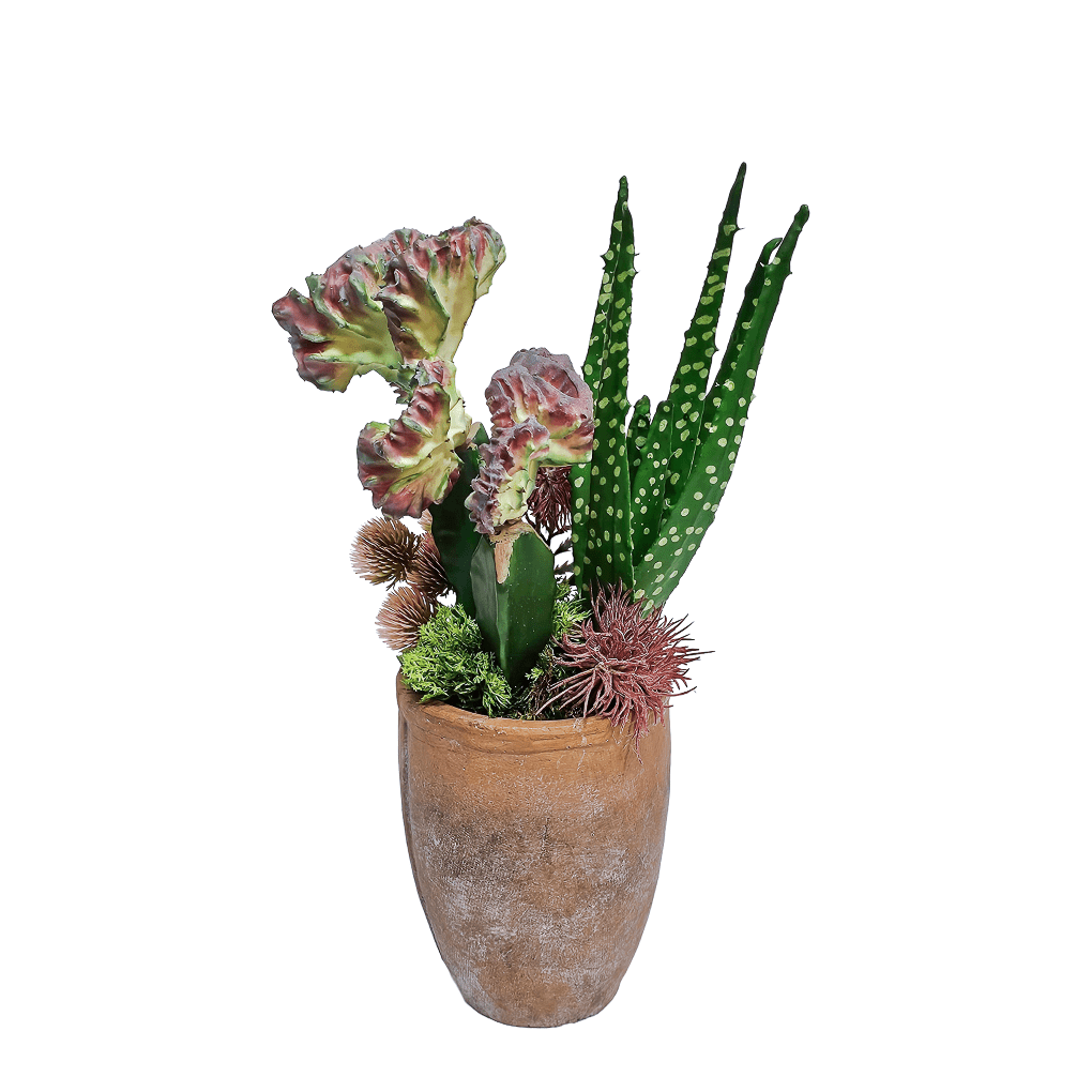 Cactus, Aloe, Flowers, and Thistle Spray in Terracotta Container. 15.25"H - LDF Silk