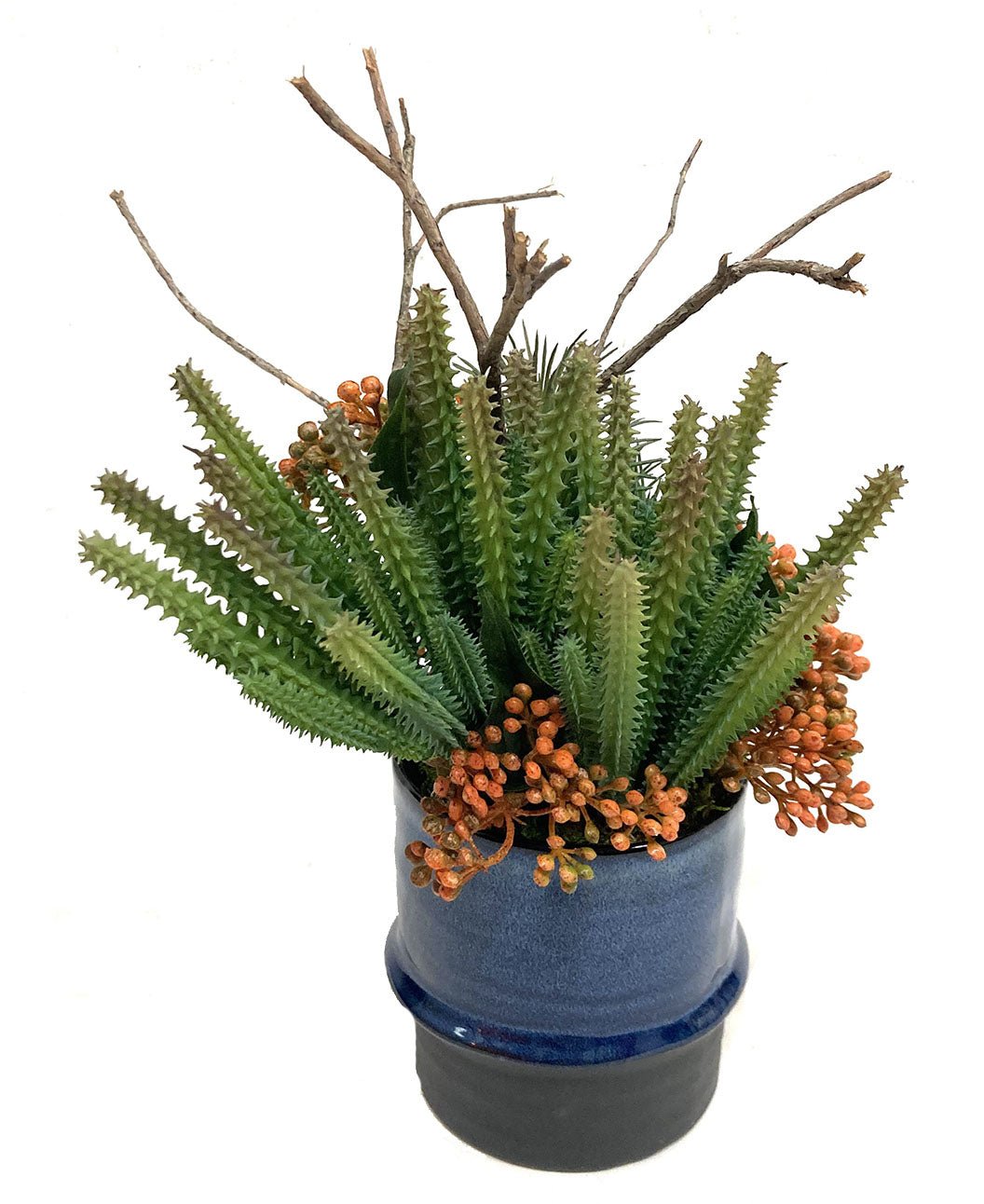 Cactus and Sedum in Ceramic FH: 12" - LDF Silk