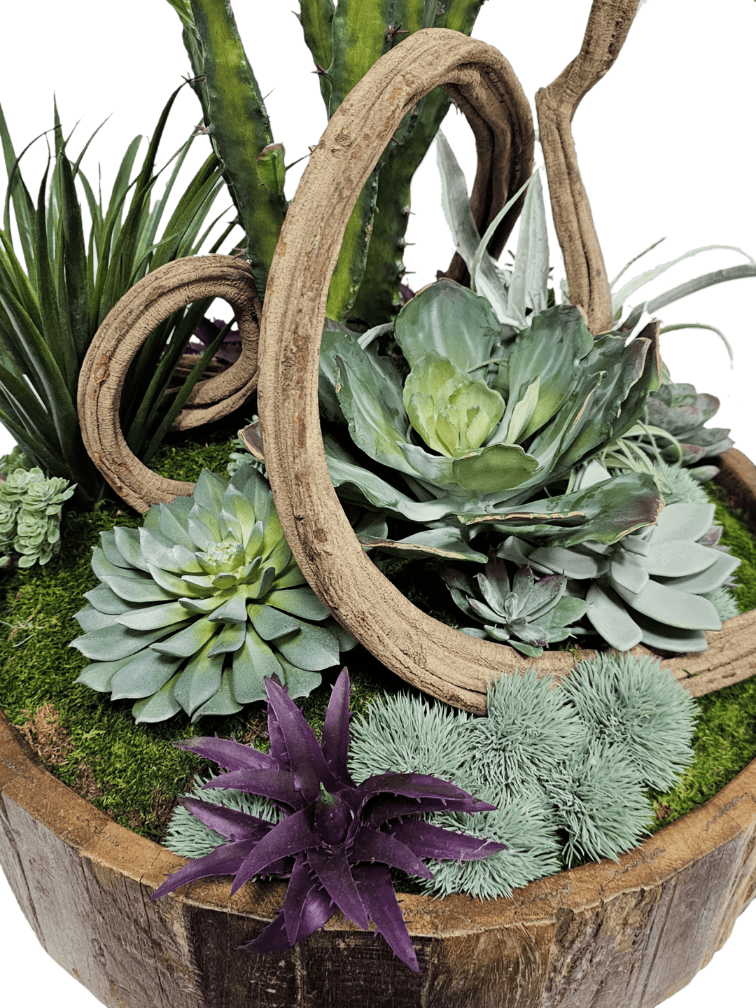 Cactus, Curly Vine and Succulents in Bowl FH: 28"H - LDF Silk