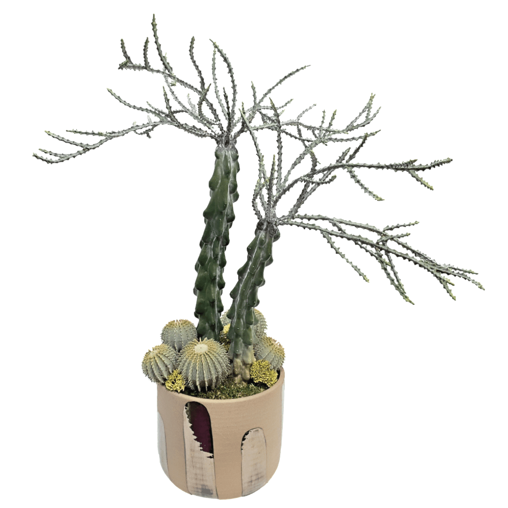 Cactus in Decorative Ceramic 28"H - LDF Silk