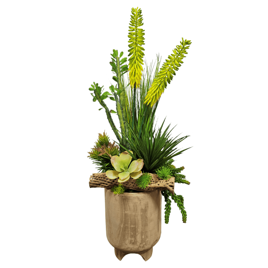Cactus, Mixed Succulents with Colla Wood in Natural Wood Container. FH: 41"H - LDF Silk