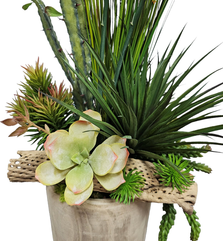 Cactus, Mixed Succulents with Colla Wood in Natural Wood Container. FH: 41"H - LDF Silk