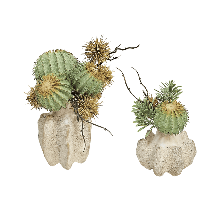 Cactus, Thistle, and Succulent Grass in Ceramic 6"H - LDF Silk