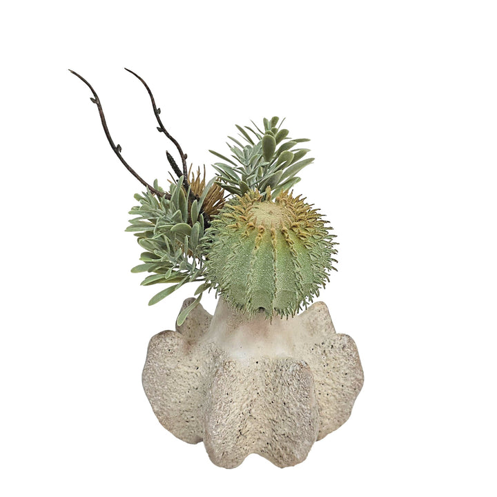 Cactus, Thistle, and Succulent Grass in Ceramic 6"H - LDF Silk