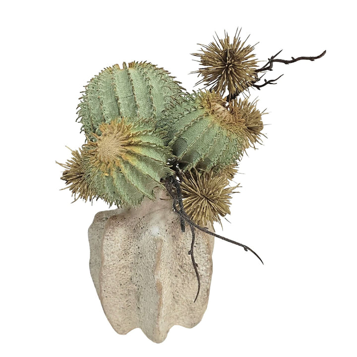 Cactus with Thistle in Ceramic 10"H - LDF Silk